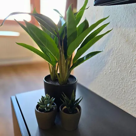 Apartment Holiday&stay Black Forest Pool 85 Tv Wlan