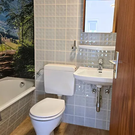 Holiday&stay Black Forest Pool 85 Tv Wlan Apartment Schoenwald im Schwarzwald