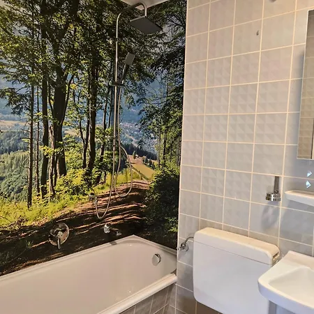 Holiday&stay Black Forest Pool 85 Tv Wlan Apartment *