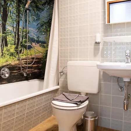 Apartment Holiday&stay Black Forest Pool 85 Tv Wlan