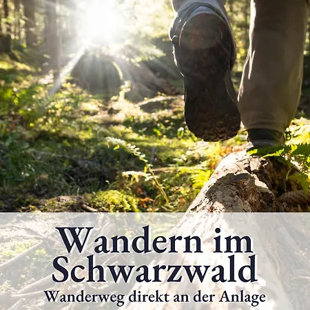 Holiday&stay Black Forest Pool 85 Tv Wlan Apartment *